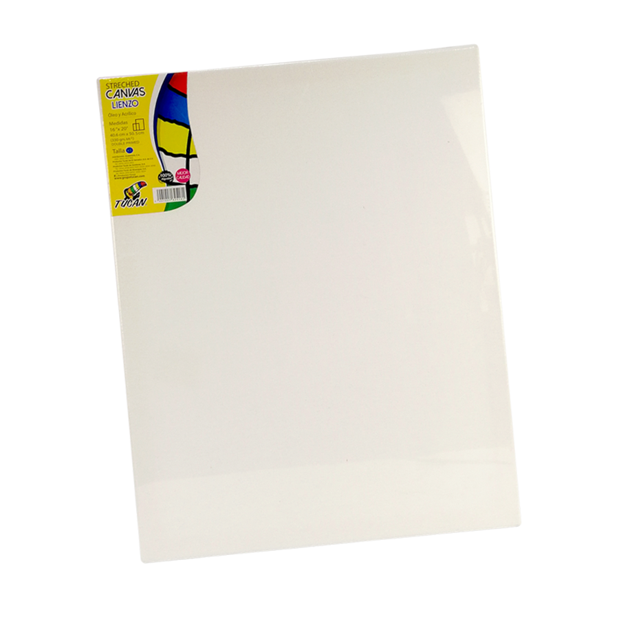 Stretched Canvas Tucan 16 X20