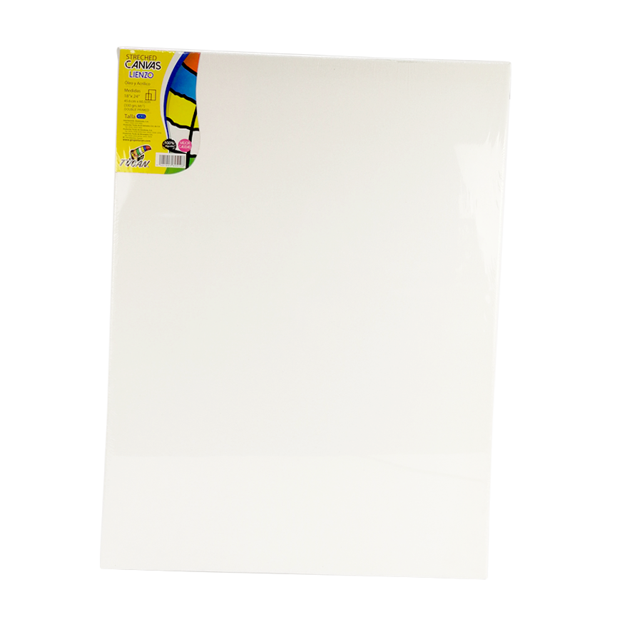 Stretched Canvas Tucan 18 X24