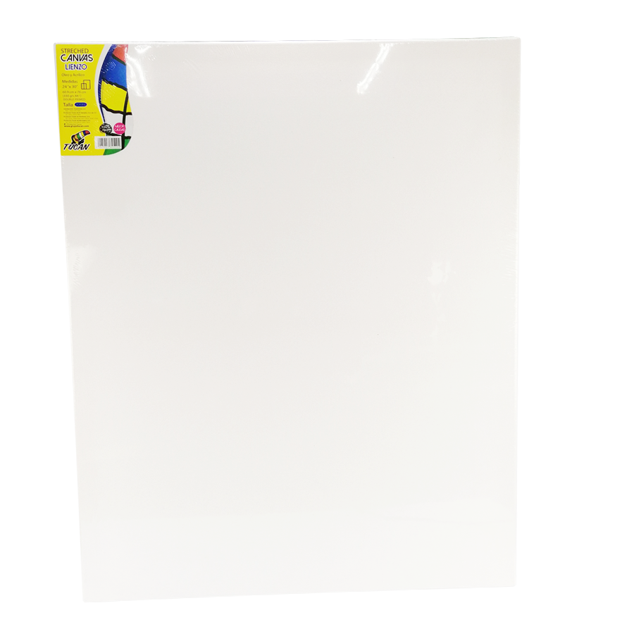 Stretched Canvas Tucan 24 X30