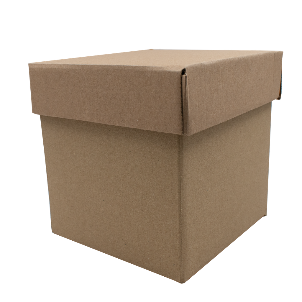 Caja Kraft Pequeña 15X15X15 Cm