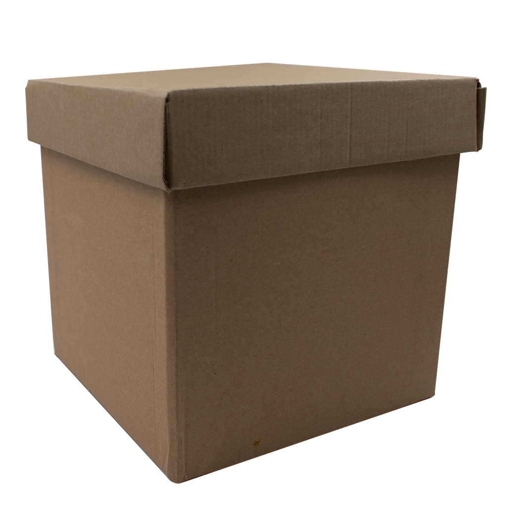 Caja Kraft Mediana 20X20X20 Cm