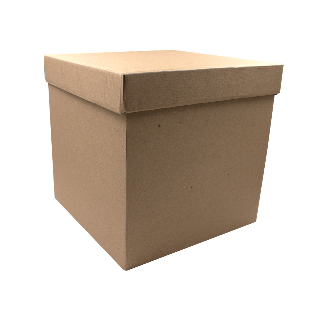 Caja Kraft Grande 25X25X25 Cm