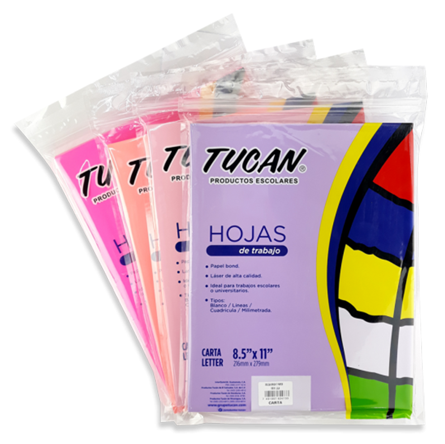 Bolsa Bright Paper (Hoja Iris)  80Gr / 100 Hojas.