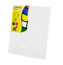 Canvas Panel Tucan 8 X10