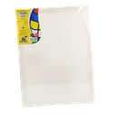 Stretched Canvas Tucan 12 X16