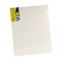 Stretched Canvas Tucan 16 X20