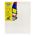Stretched Canvas Tucan 8 X10