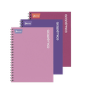 Cuaderno Académico Pasta Dura Doble Anillo Multimateria Lineas 160 hojas